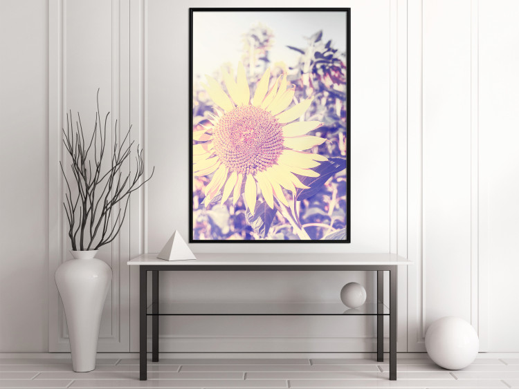 Wall Poster Sunflower - summer composition with yellow flowers in a sunlit meadow 116440 additionalImage 4