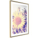 Wall Poster Sunflower - summer composition with yellow flowers in a sunlit meadow 116440 additionalThumb 7