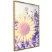 Wall Poster Sunflower - summer composition with yellow flowers in a sunlit meadow 116440 additionalThumb 14