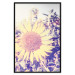 Wall Poster Sunflower - summer composition with yellow flowers in a sunlit meadow 116440 additionalThumb 18