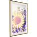 Wall Poster Sunflower - summer composition with yellow flowers in a sunlit meadow 116440 additionalThumb 3