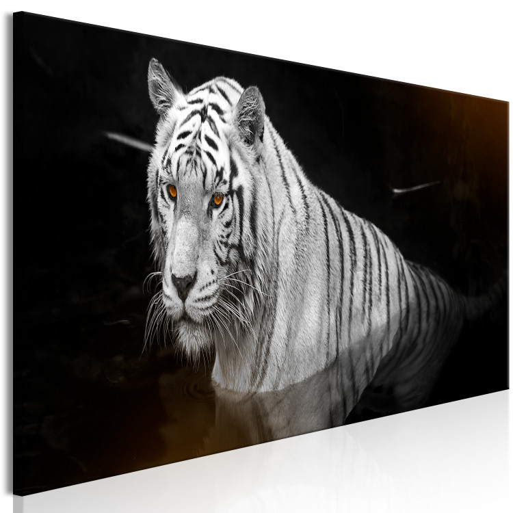 Canvas Shining Tiger (1 Part) Orange Narrow 123340 additionalImage 2