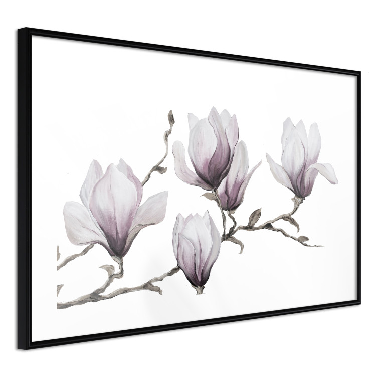 Wall Poster Painted Magnolias - composition of plants with white flowers on a light background 128640 additionalImage 11