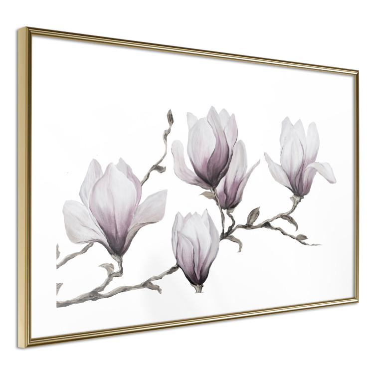Wall Poster Painted Magnolias - composition of plants with white flowers on a light background 128640 additionalImage 8