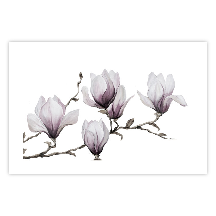 Wall Poster Painted Magnolias - composition of plants with white flowers on a light background 128640 additionalImage 25
