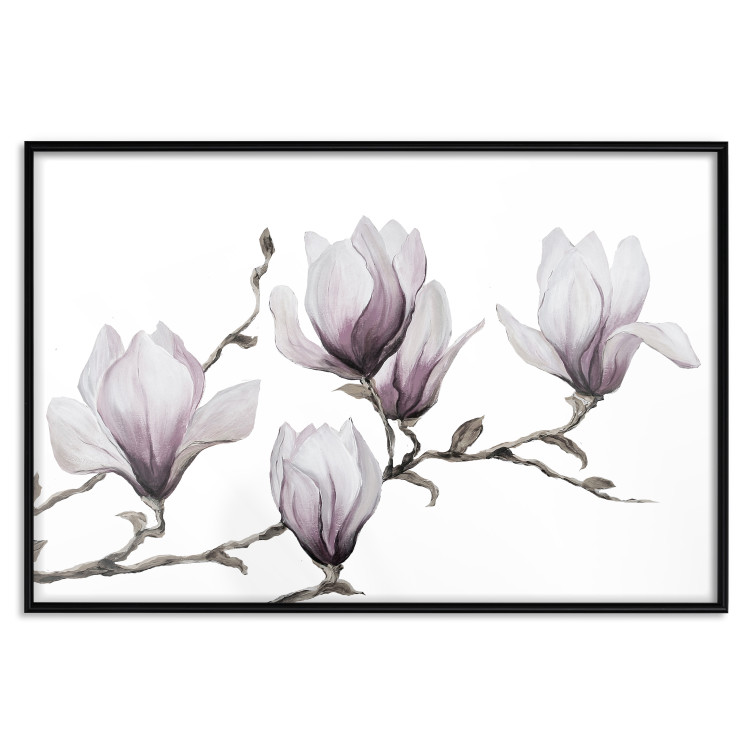 Wall Poster Painted Magnolias - composition of plants with white flowers on a light background 128640 additionalImage 18