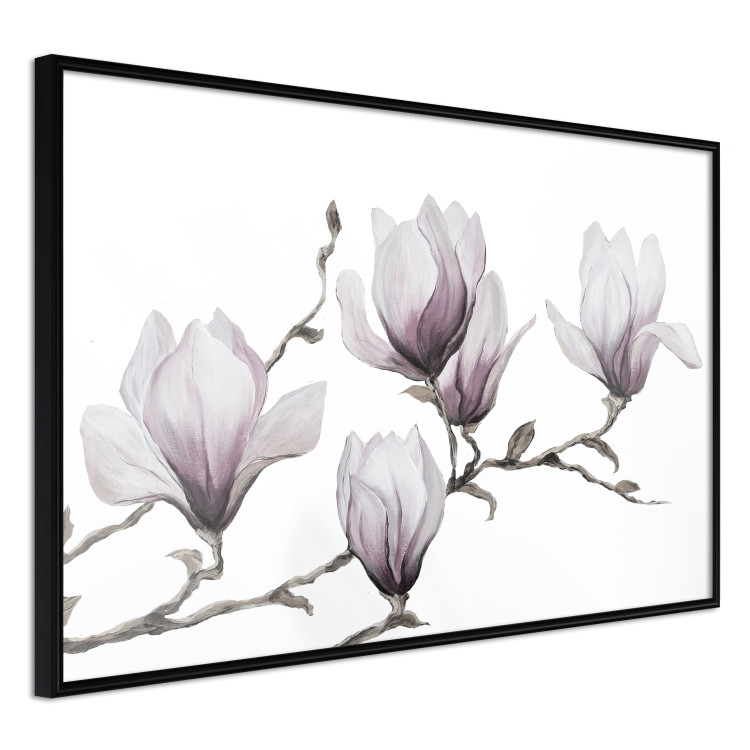 Wall Poster Painted Magnolias - composition of plants with white flowers on a light background 128640 additionalImage 12