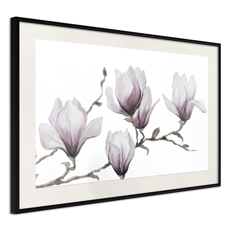 Wall Poster Painted Magnolias - composition of plants with white flowers on a light background 128640 additionalImage 3