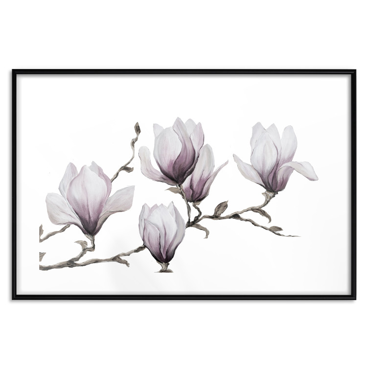 Wall Poster Painted Magnolias - composition of plants with white flowers on a light background 128640 additionalImage 17