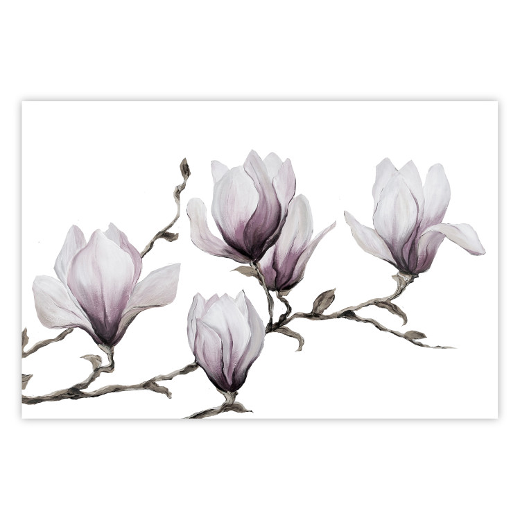 Wall Poster Painted Magnolias - composition of plants with white flowers on a light background 128640