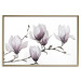 Wall Poster Painted Magnolias - composition of plants with white flowers on a light background 128640 additionalThumb 16