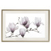 Wall Poster Painted Magnolias - composition of plants with white flowers on a light background 128640 additionalThumb 19