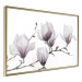 Wall Poster Painted Magnolias - composition of plants with white flowers on a light background 128640 additionalThumb 12