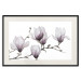 Wall Poster Painted Magnolias - composition of plants with white flowers on a light background 128640 additionalThumb 18