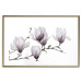 Wall Poster Painted Magnolias - composition of plants with white flowers on a light background 128640 additionalThumb 14