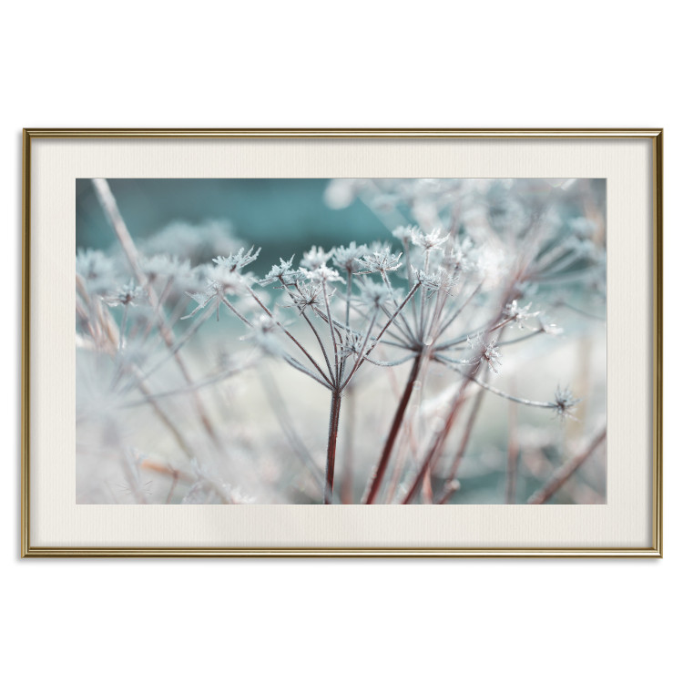 Poster Autumn Hoarfrost - winter landscape of frosted plants on a light background 129840 additionalImage 26