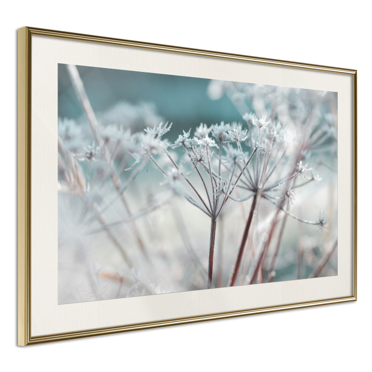 Poster Autumn Hoarfrost - winter landscape of frosted plants on a light background 129840 additionalImage 3