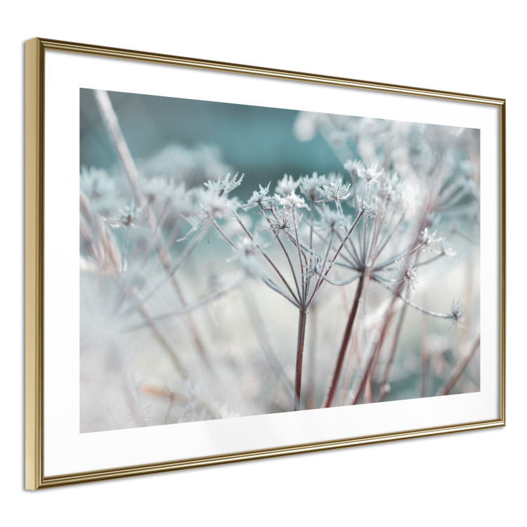 Poster Autumn Hoarfrost - winter landscape of frosted plants on a light background 129840 additionalImage 9