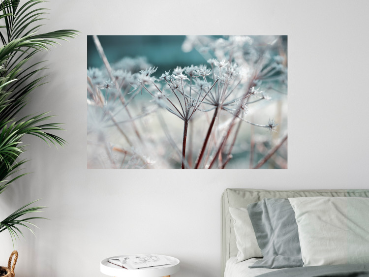 Poster Autumn Hoarfrost - winter landscape of frosted plants on a light background 129840 additionalImage 4