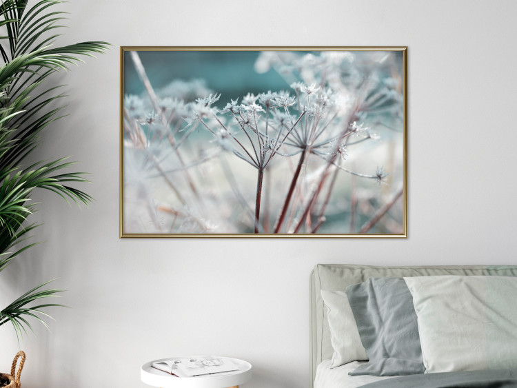 Poster Autumn Hoarfrost - winter landscape of frosted plants on a light background 129840 additionalImage 5