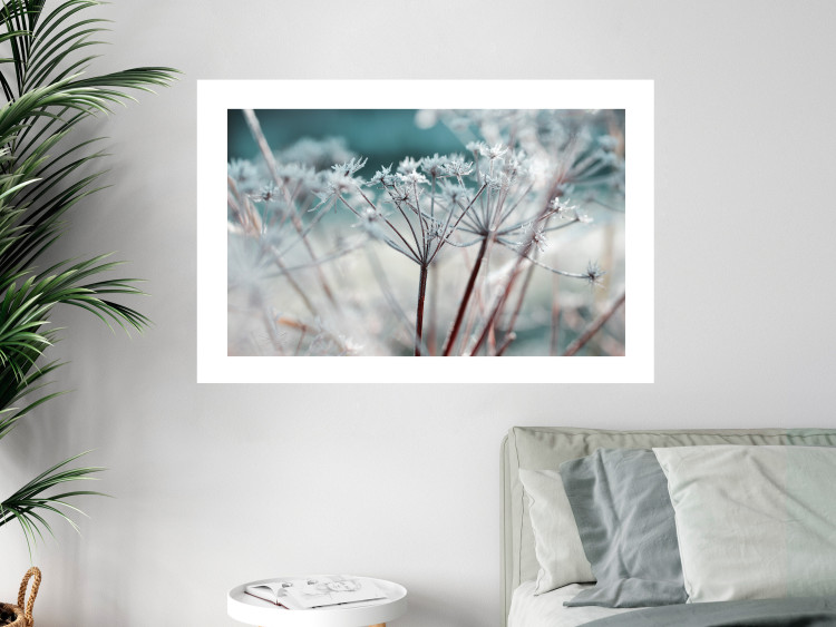 Poster Autumn Hoarfrost - winter landscape of frosted plants on a light background 129840 additionalImage 5