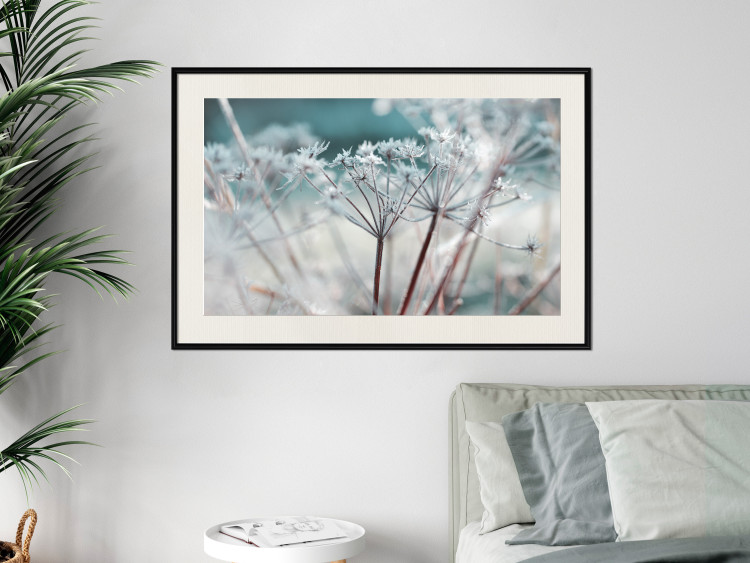 Poster Autumn Hoarfrost - winter landscape of frosted plants on a light background 129840 additionalImage 23