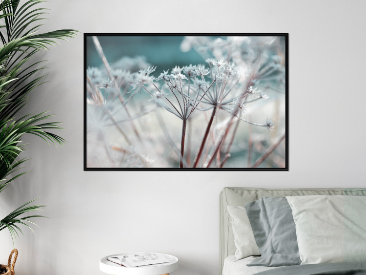 Poster Autumn Hoarfrost - winter landscape of frosted plants on a light background 129840 additionalImage 6