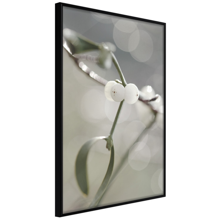Poster Purity of Mist - composition of a plant with white flowers on a nature background 130740 additionalImage 11