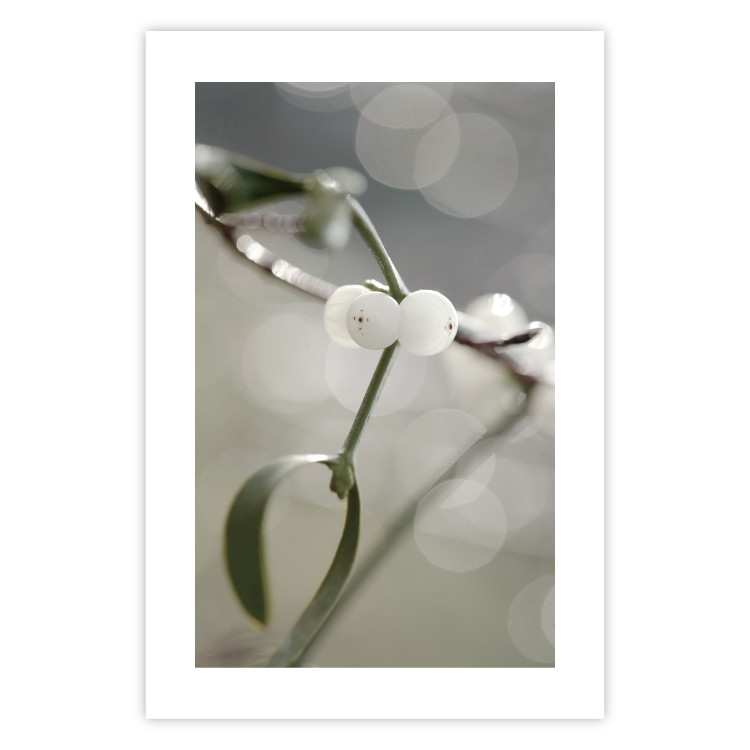 Poster Purity of Mist - composition of a plant with white flowers on a nature background 130740 additionalImage 19
