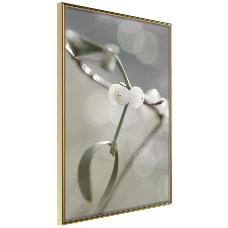 Poster Purity of Mist - composition of a plant with white flowers on a nature background 130740 additionalImage 14