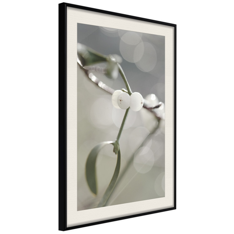 Poster Purity of Mist - composition of a plant with white flowers on a nature background 130740 additionalImage 2