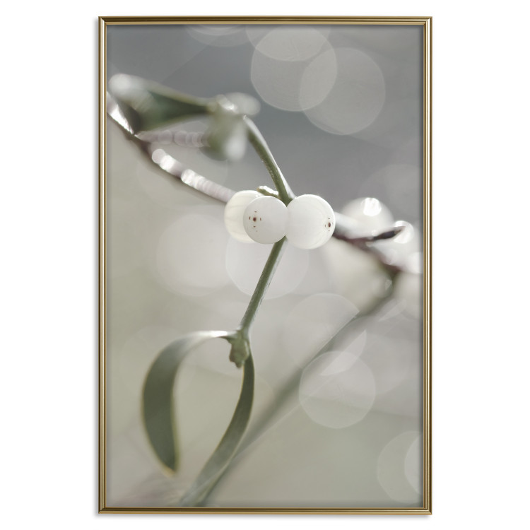 Poster Purity of Mist - composition of a plant with white flowers on a nature background 130740 additionalImage 21