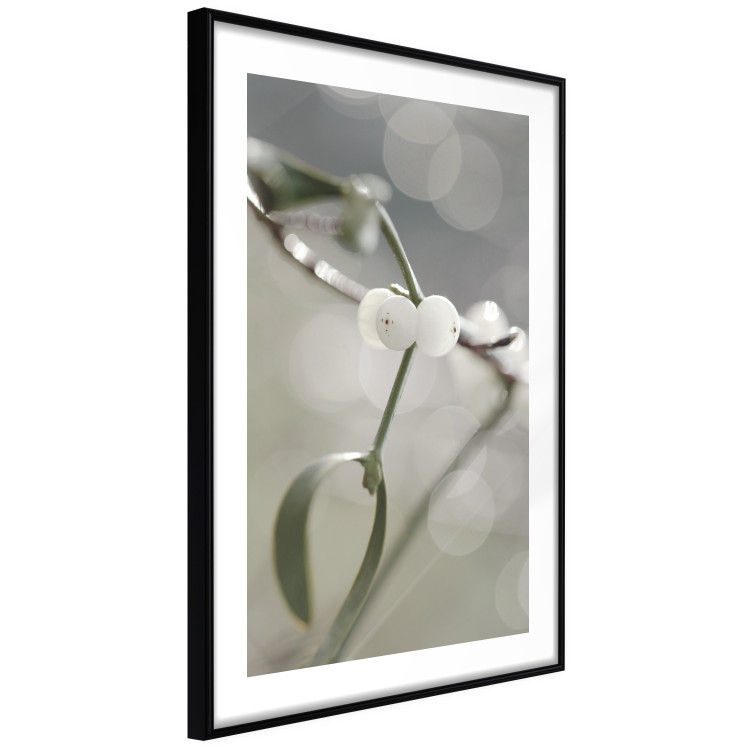 Poster Purity of Mist - composition of a plant with white flowers on a nature background 130740 additionalImage 8