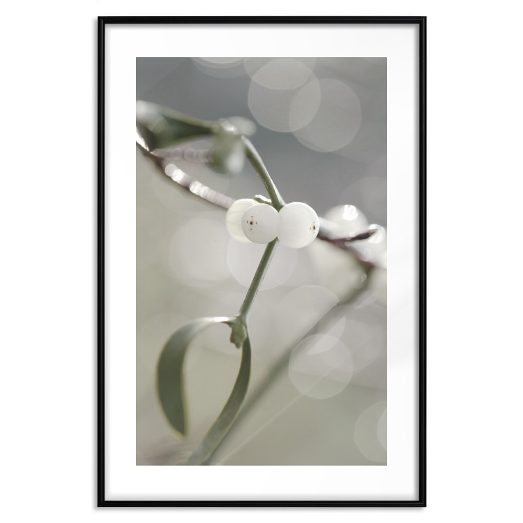 Poster Purity of Mist - composition of a plant with white flowers on a nature background 130740 additionalImage 15