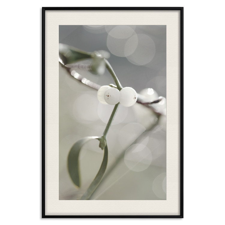 Poster Purity of Mist - composition of a plant with white flowers on a nature background 130740 additionalImage 19