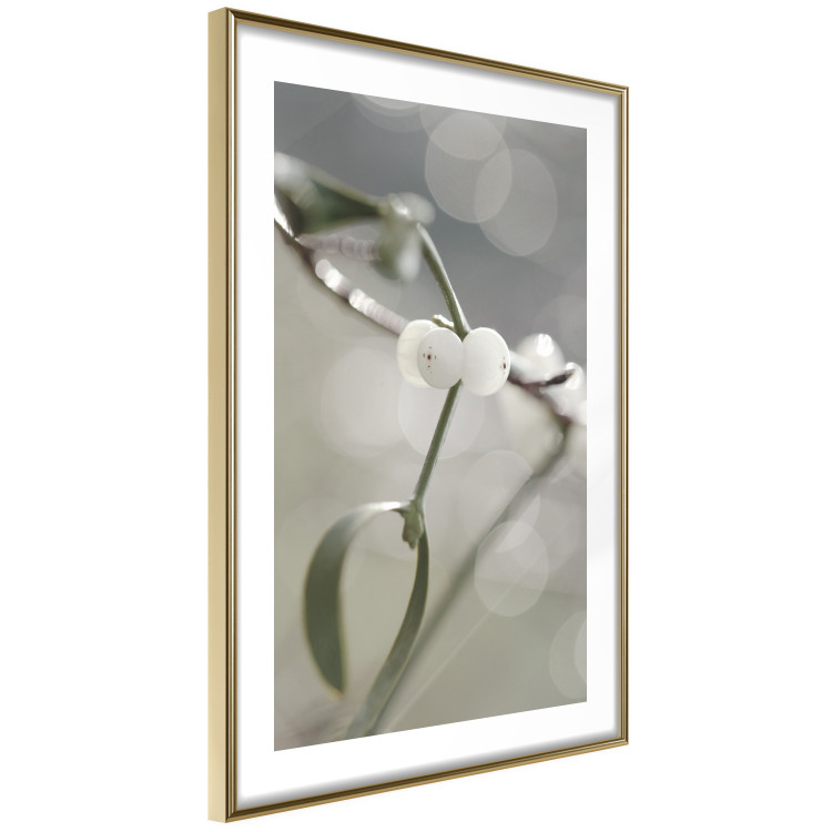 Poster Purity of Mist - composition of a plant with white flowers on a nature background 130740 additionalImage 9