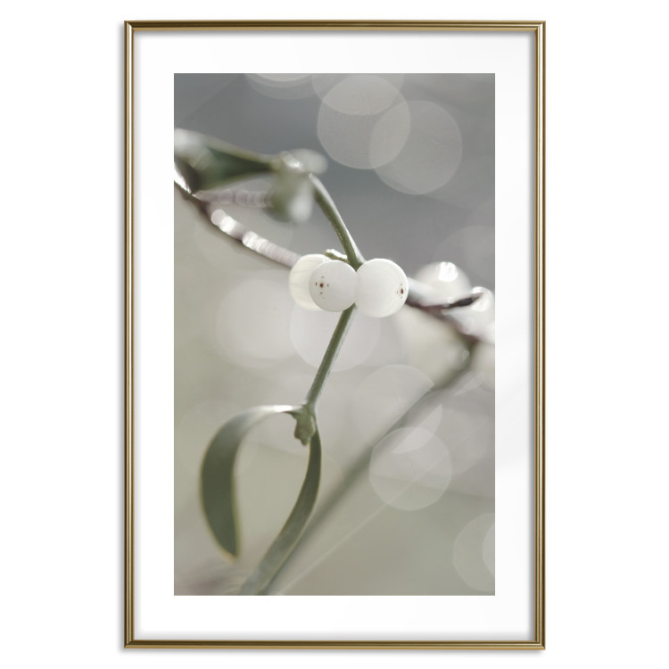 Poster Purity of Mist - composition of a plant with white flowers on a nature background 130740 additionalImage 14