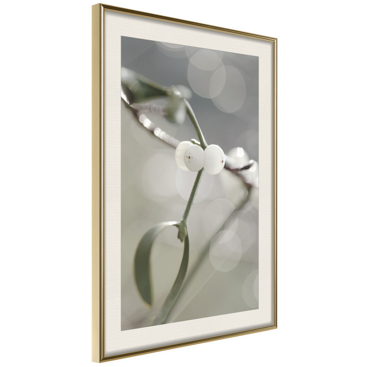 Poster Purity of Mist - composition of a plant with white flowers on a nature background 130740 additionalImage 3