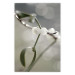 Poster Purity of Mist - composition of a plant with white flowers on a nature background 130740
