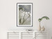 Poster Purity of Mist - composition of a plant with white flowers on a nature background 130740 additionalThumb 18
