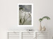 Poster Purity of Mist - composition of a plant with white flowers on a nature background 130740 additionalThumb 5