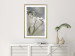 Poster Purity of Mist - composition of a plant with white flowers on a nature background 130740 additionalThumb 13