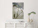 Poster Purity of Mist - composition of a plant with white flowers on a nature background 130740 additionalThumb 4