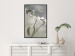 Poster Purity of Mist - composition of a plant with white flowers on a nature background 130740 additionalThumb 6