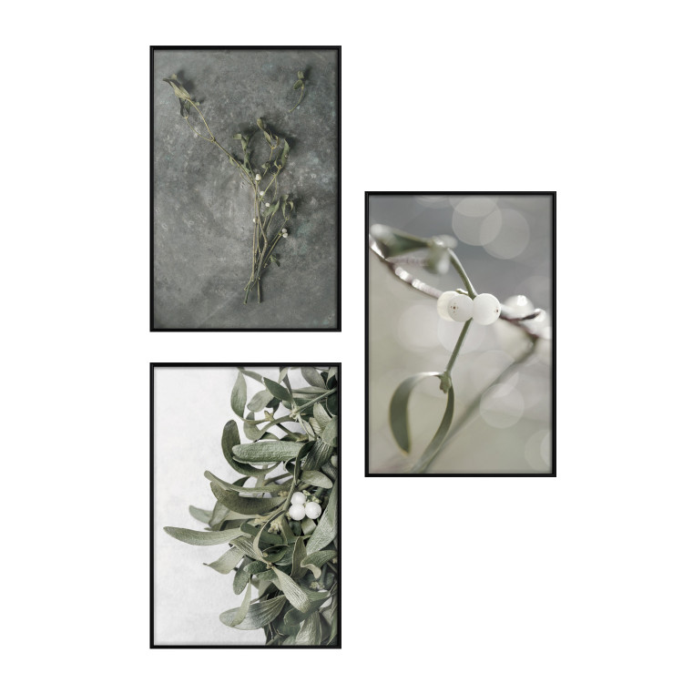 Posters collage Winter plant 132340 additionalImage 1
