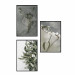 Posters collage Winter plant 132340 additionalThumb 1