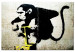 Large canvas print Monkey TNT Detonator by Banksy [Large Format] 136440