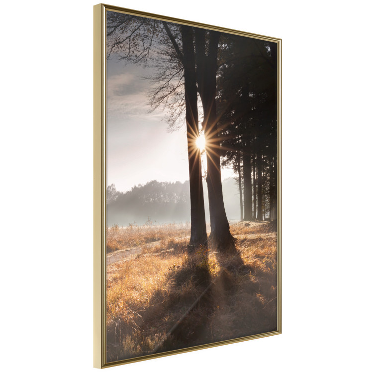 Wall Poster We Are a Gleam - landscape of trees and sun against a forest in mist 138040 additionalImage 5