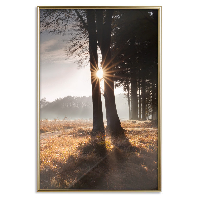 Wall Poster We Are a Gleam - landscape of trees and sun against a forest in mist 138040 additionalImage 9
