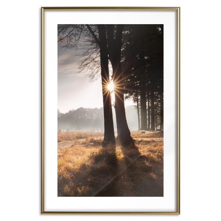 Wall Poster We Are a Gleam - landscape of trees and sun against a forest in mist 138040 additionalImage 14